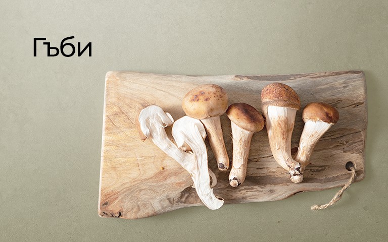 Гъби
