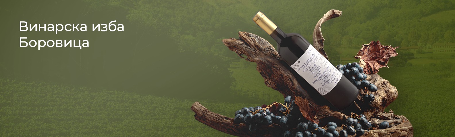 Боровица Н3-1