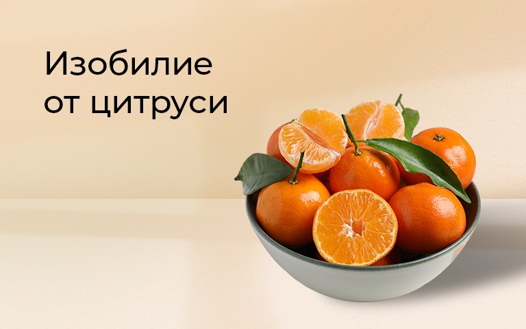 Цитруси Н4-1