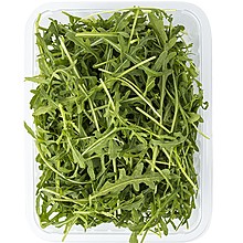 Рукола от Иван Петров Начев